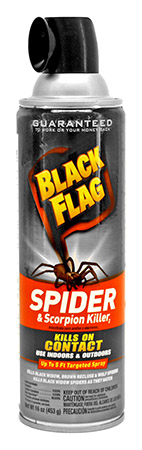 spider scorpion spray